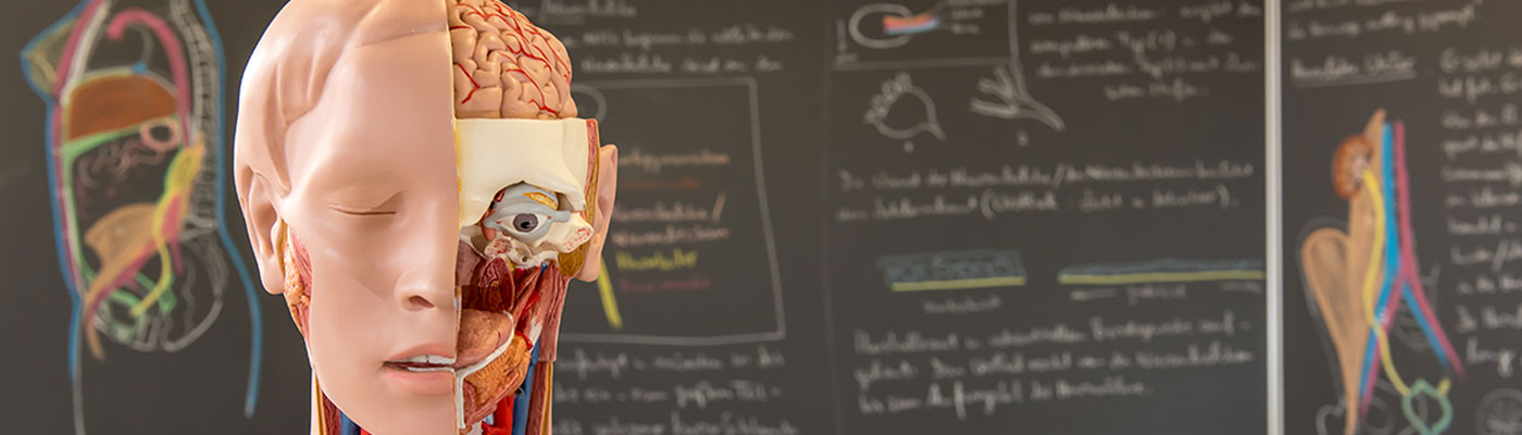 Ergotherapie